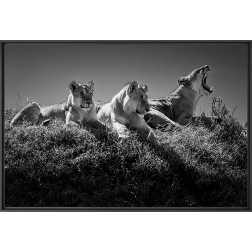 KUNSTFOTOGRAFIE VON PEUGEOT X YELLOWKORNER „ WAKE UP CALL”